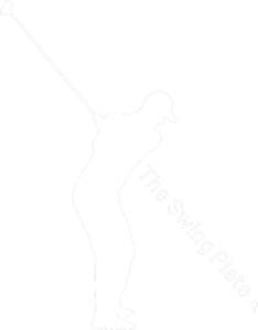 The Swingplate USA